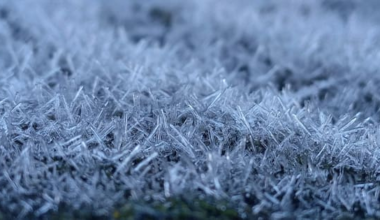 Fewer frosts for central South Island as climate shifts