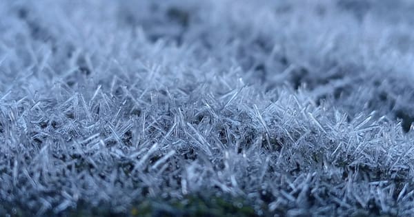 Fewer frosts for central South Island as climate shifts