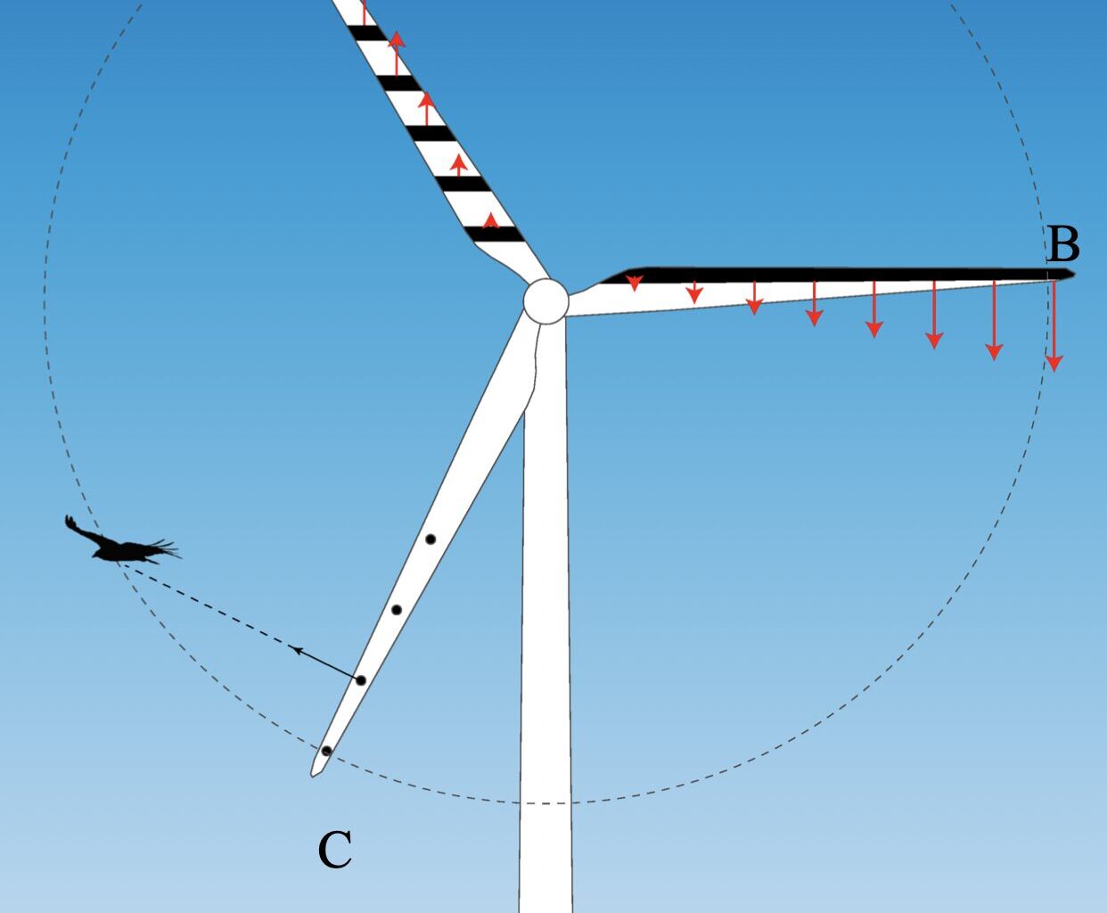 Could striped wind turbines save millions of birds?