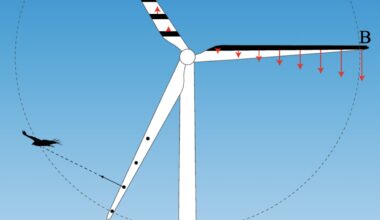 Could striped wind turbines save millions of birds?