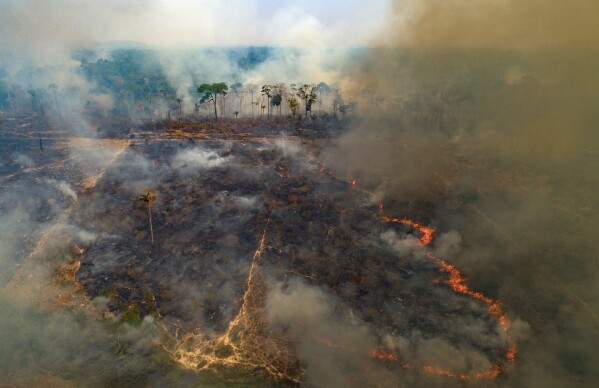 A wildfire consumes land recently deforested by cattle farmers near Novo Progresso, Para state, Brazil, Aug. 23, 2020. (AP Photo/Andre Penner, File)