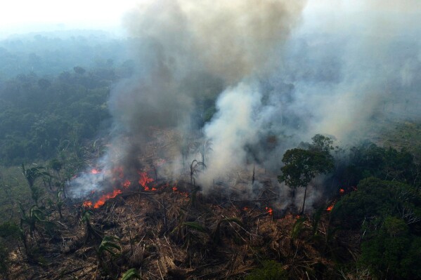 A wildfire burns in the Amazon in the municipality of Manaquiri in Brazil's Amazonas state, Sept. 6, 2023. (AP Photo/Edmar Barros)