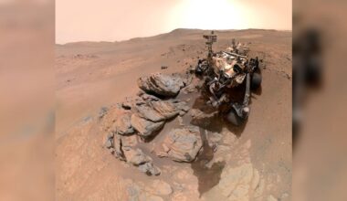 NASA’s Perseverance rover captures selfie of Mars' oldest rocks