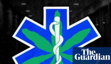 After a hard-fought victory to legalise medical cannabis in the UK, why is it still so hard to access? | Cannabis