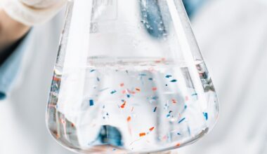 Opinion | Microplastics and the 'Terrible Debris of Progress'