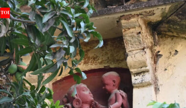 Arts College’s rare Navras sculptures set for restoration after 60 years