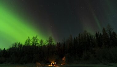 Northern Lights Update: These 8 States Could See Aurora Borealis Tonight