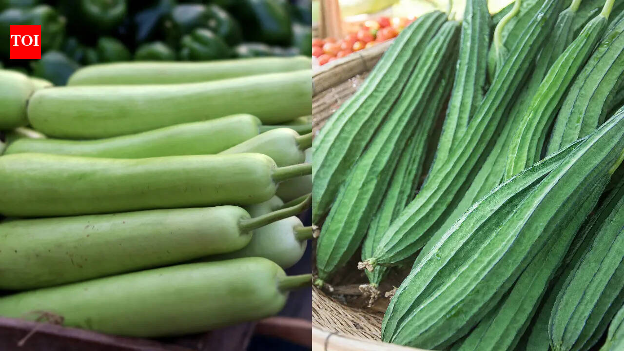 Lauki vs Tori: Which has more nutrition for summer and 5 interesting ways to eat them