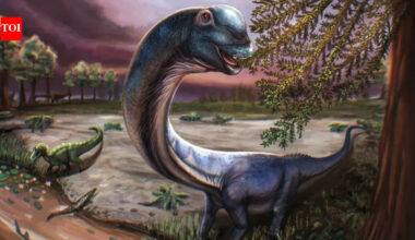 Meet Nagatitan: Southeast Asia's largest dinosaur who weighed as much as nine Asian elephants and was 27m in length