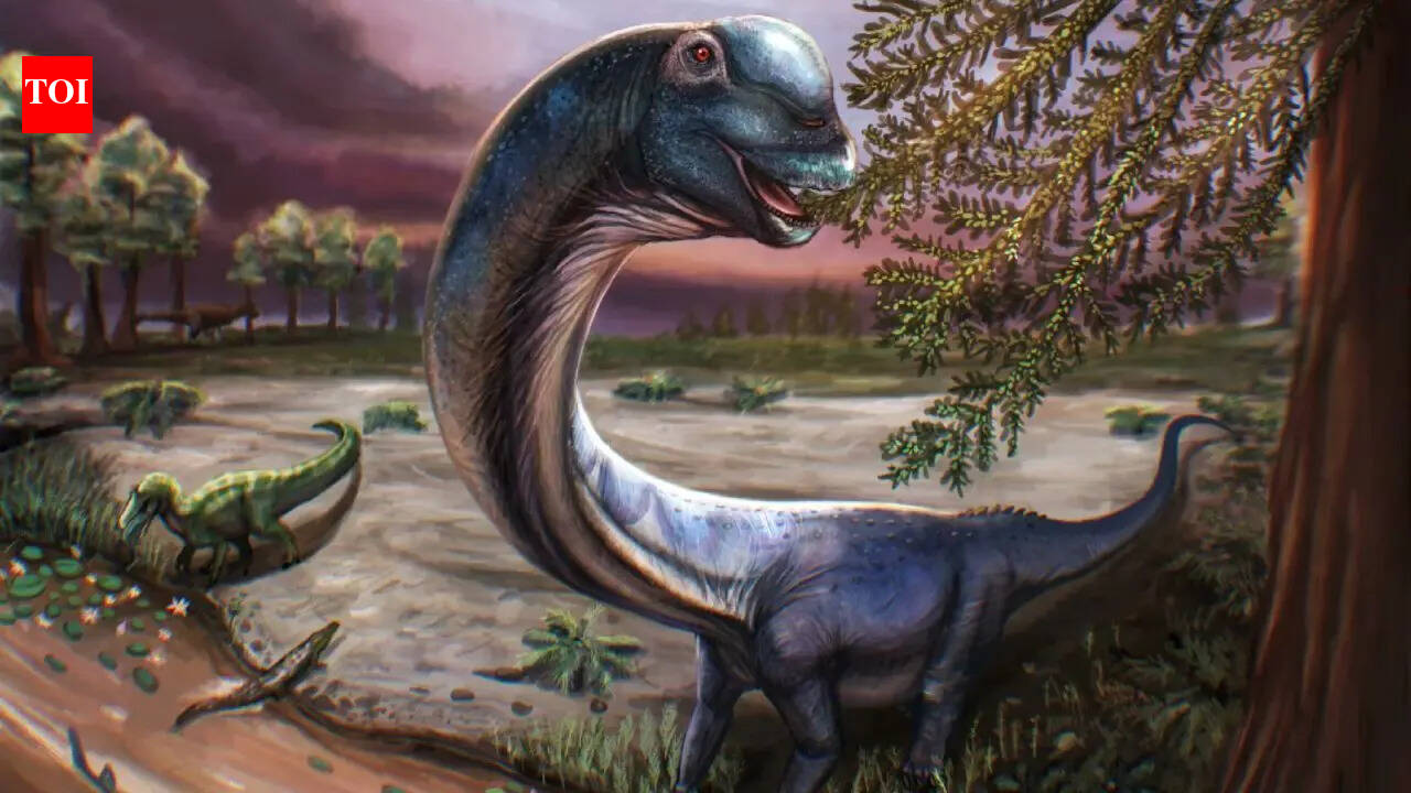 Meet Nagatitan: Southeast Asia's largest dinosaur who weighed as much as nine Asian elephants and was 27m in length
