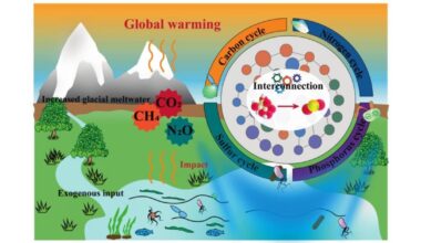 Tibet’s Thawing Lakes Accelerate Greenhouse Gas Release