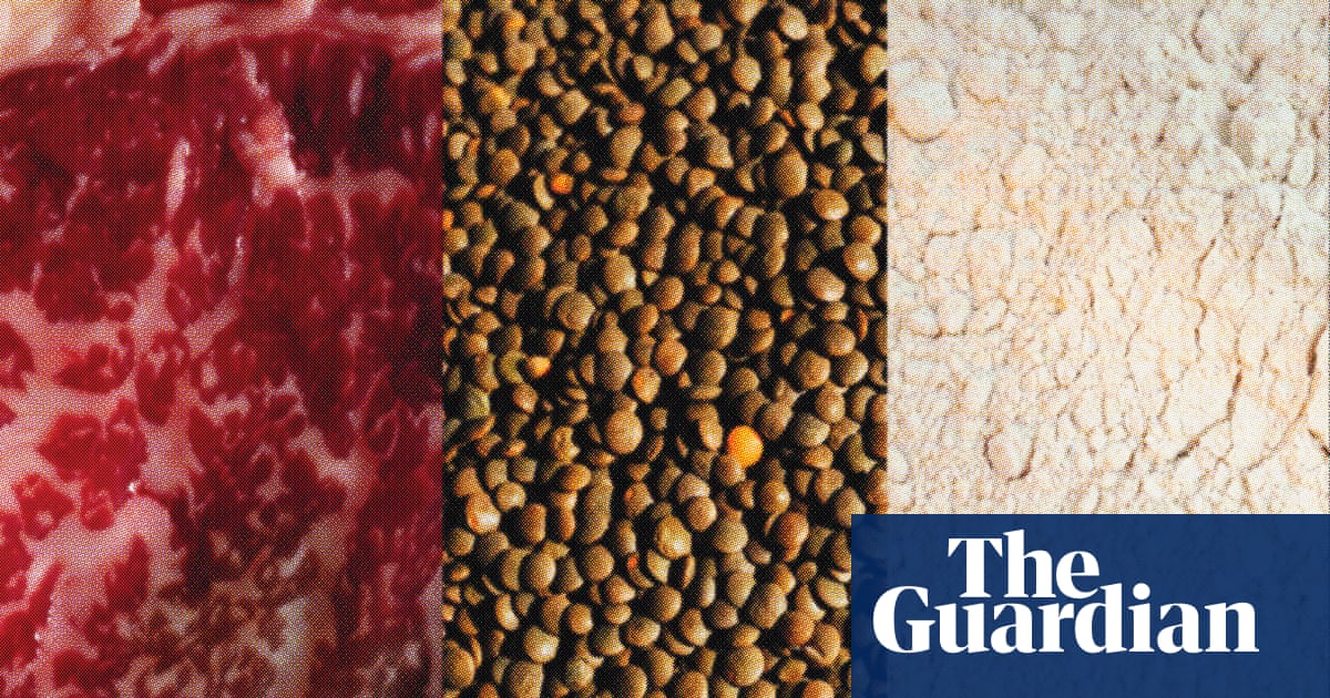 ‘People should aim to get a variety’: the pros and cons of popular protein sources | Well actually