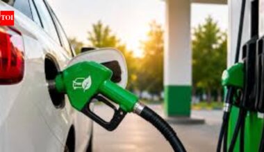 Standards for fuel blends up to E30 notified