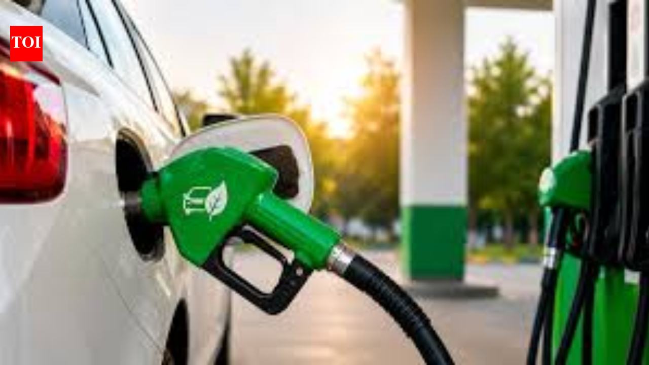 Standards for fuel blends up to E30 notified