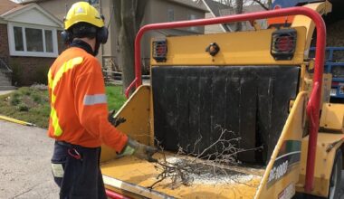 Program aims to help B.C. forestry workers in need of mental health support