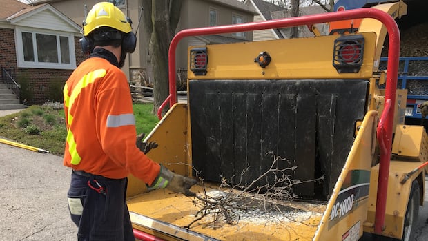 Program aims to help B.C. forestry workers in need of mental health support