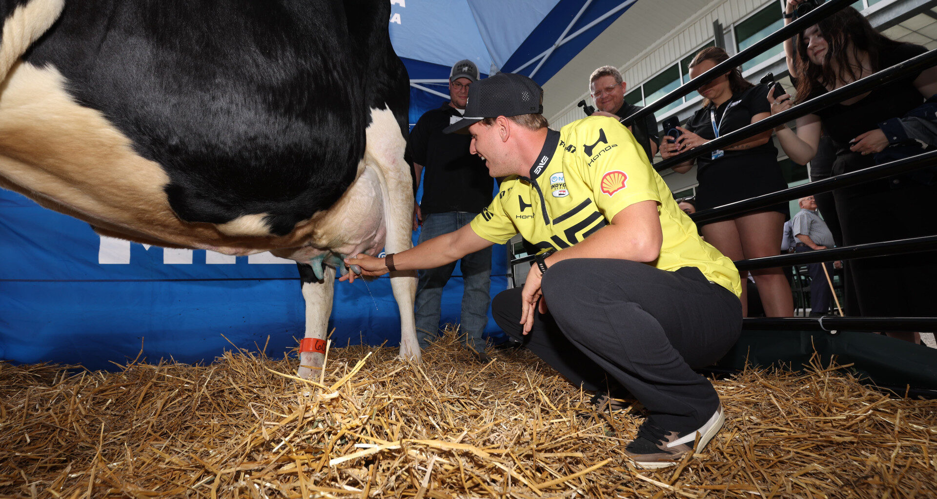 IndyCar drivers decide what milk they want if they win Indy 500