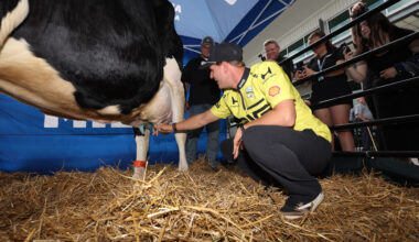 IndyCar drivers decide what milk they want if they win Indy 500