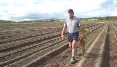 Hawke’s Bay growers explore options to save McCain processing plant