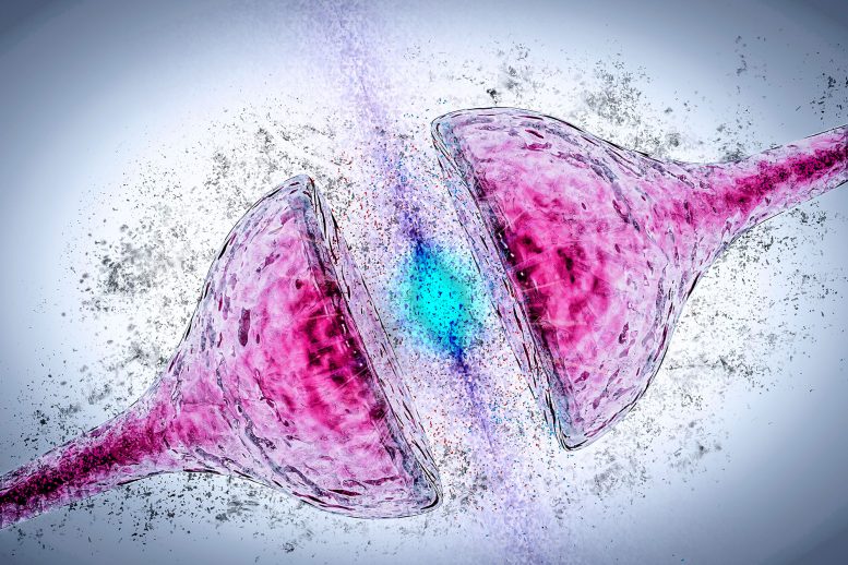 Synapse Degeneration Alzheimer's Parkinson's Dementia