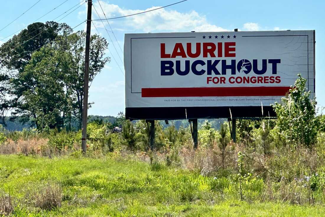 A campaign billboard for Republican congressional candidate Laurie Buckhout sits along the highway between the now-closed Martin General Hospital and the closest emergency room, at ECU Health Bertie Hospital in Windsor, N.C.