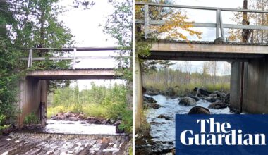 Record number of dams dismantled in Europe in effort to help wildlife thrive | Rivers