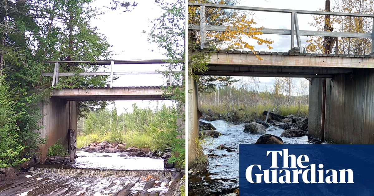 Record number of dams dismantled in Europe in effort to help wildlife thrive | Rivers