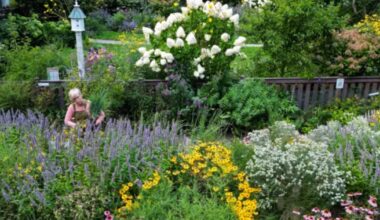 Once Dismissed As Weeds, Native Plants Are Flying Off the Shelves – Mother Jones