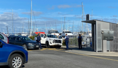 SunLive - Man in custody after jumping into harbour