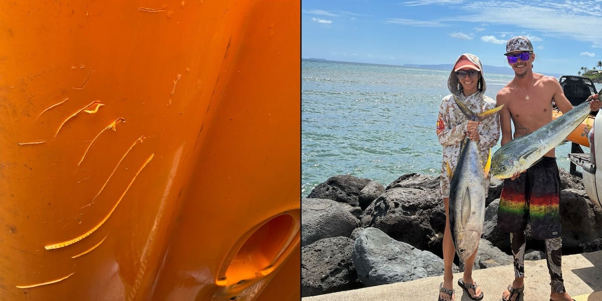 ‘He wouldn’t let go’: Couple fends off tiger shark in frightening encounter while kayaking