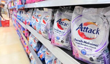 Indonesia faces 'vicious' stagflation: Japan consumer goods firm