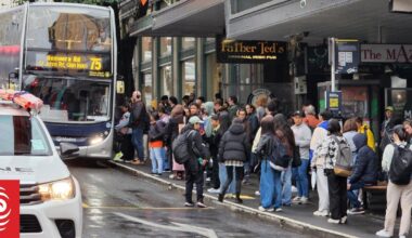 Auckland bus passengers hit record high as fuel crisis bites