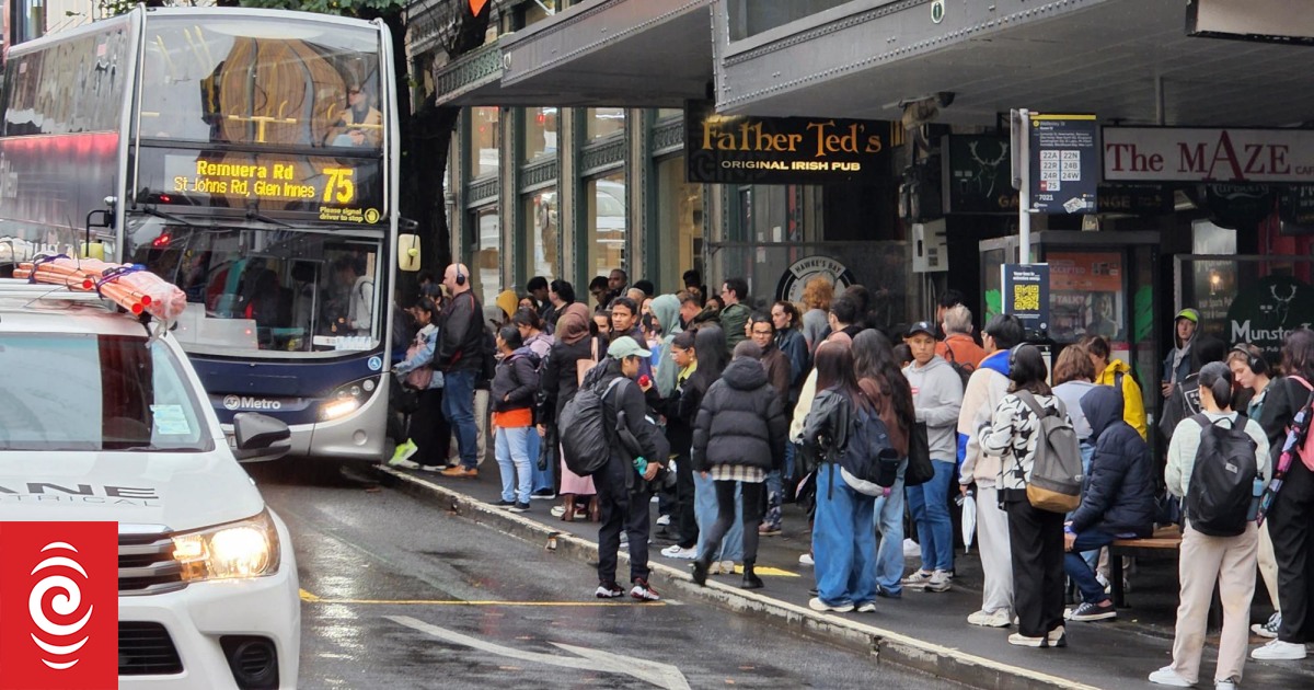 Auckland bus passengers hit record high as fuel crisis bites