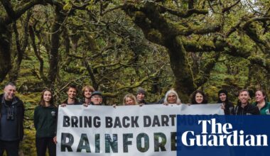 ‘Let these amazing forests come back to life’; push to expand England’s rainforest | Dartmoor