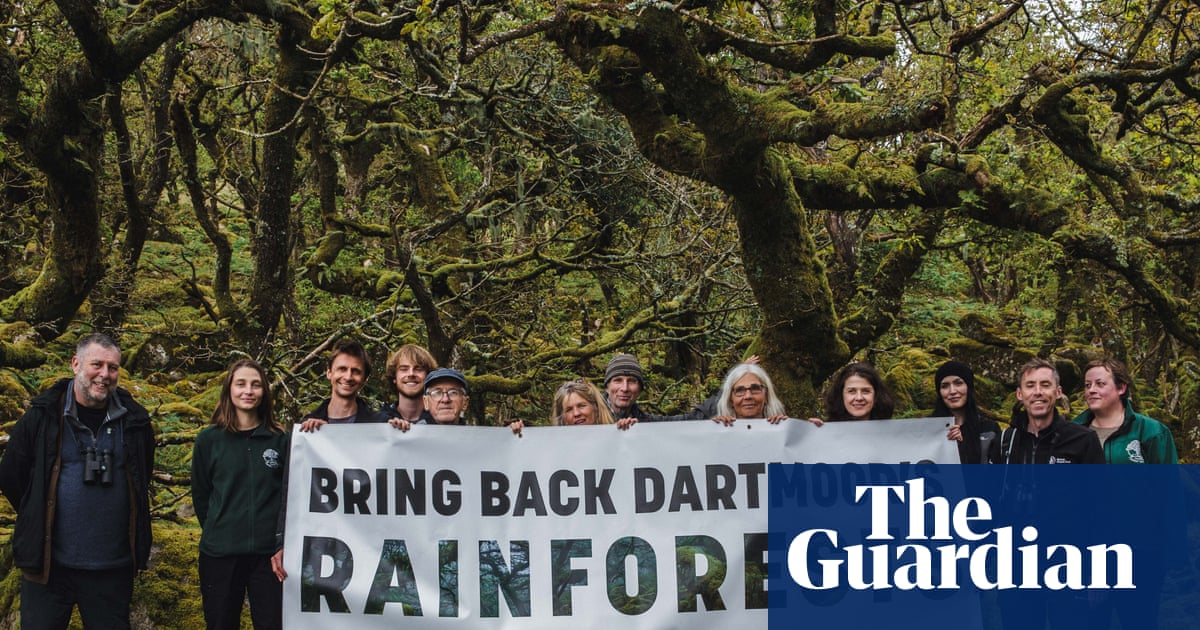 ‘Let these amazing forests come back to life’; push to expand England’s rainforest | Dartmoor