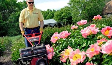 So-called gardening hacks and quick fixes buried for good