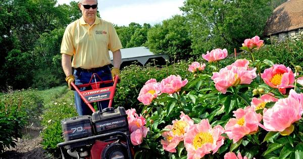 So-called gardening hacks and quick fixes buried for good