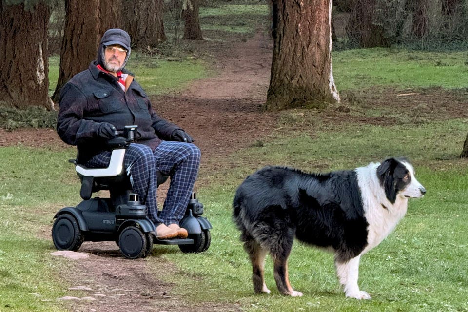 Strutt EV1 mobility chair