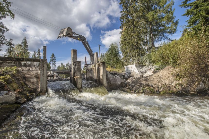 The Kangaskoski hydropower dam on the Hiitolanjoki River in southeastern Finland was dismantled as part of a project to restore the river’s full connectivity. The Hiitolanjoki River is of high ecological importance, as it is home to Finland’s last remaining naturally reproducing landlocked salmon population.