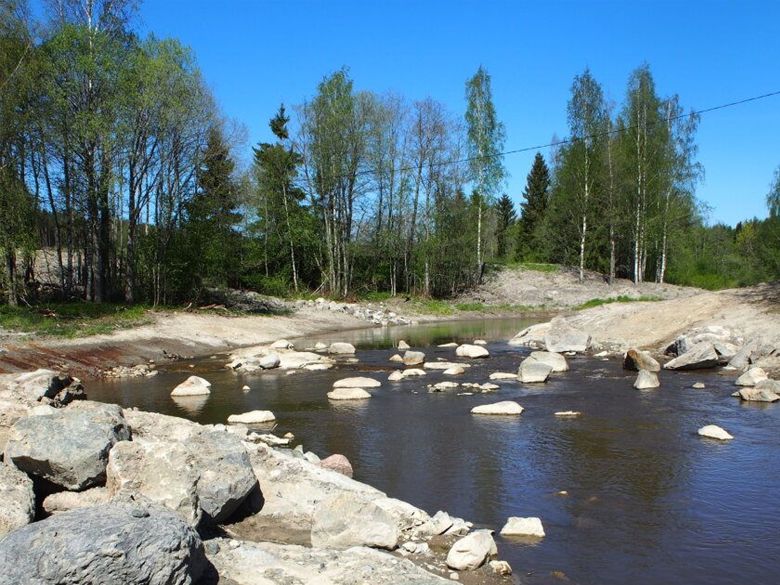 Restoration at Holstenkoski in Finland included dredging upstream of the former dam, stabilising riverbanks with stones, recreating natural rapids, and planting nearly 1,000 trees to improve water flow and support ecological recovery.
