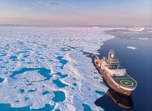 Arctic Ocean food chain disrupted as key tipping point passed