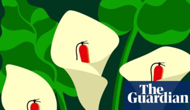 Could nature itself hold the solution to climate change? | Climate crisis