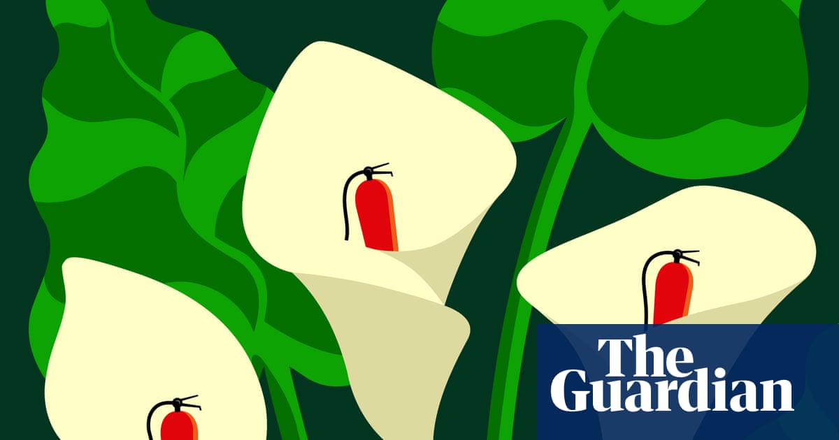 Could nature itself hold the solution to climate change? | Climate crisis