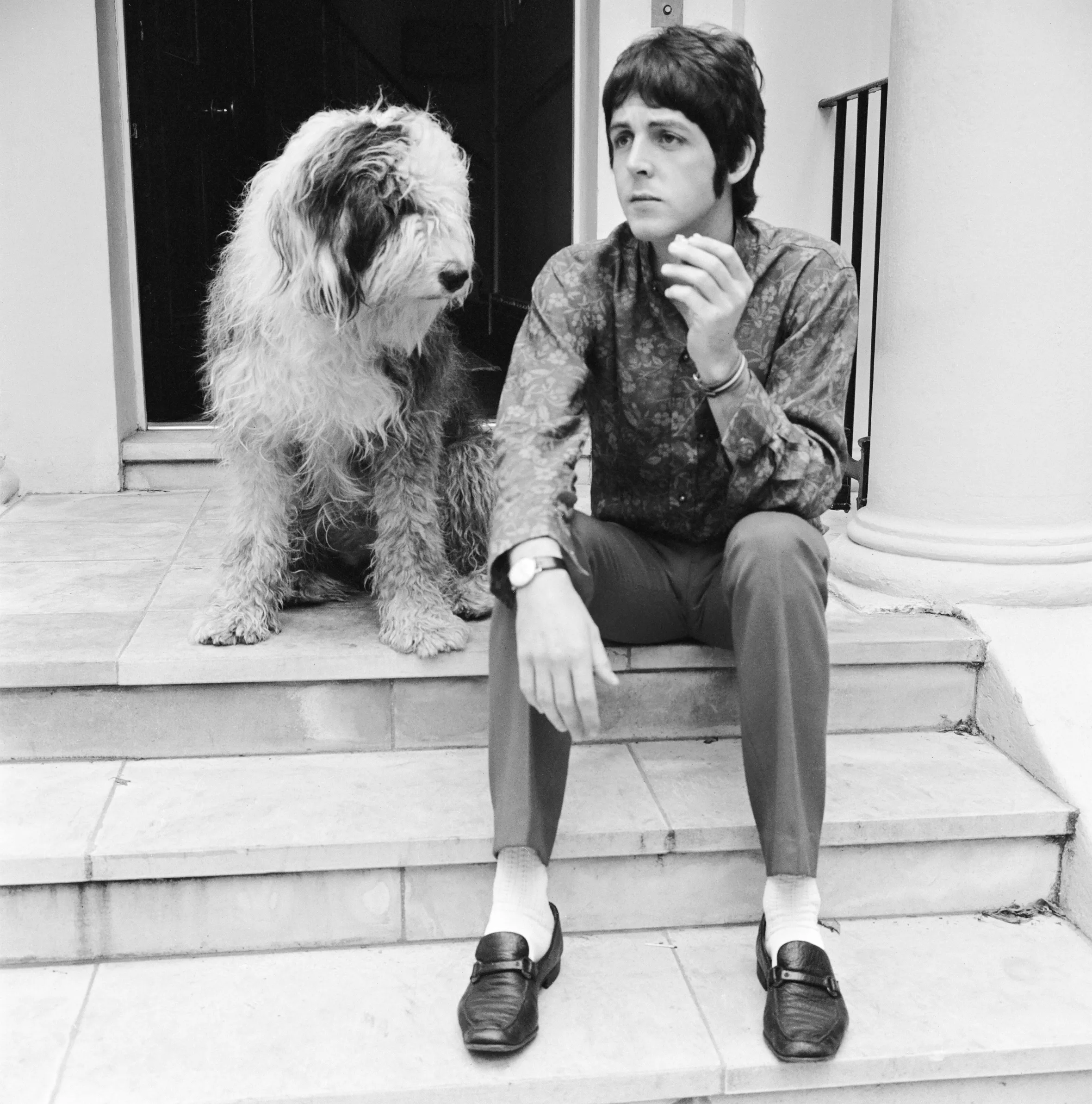 Paul McCartney sitting on steps with his Old English Sheepdog.