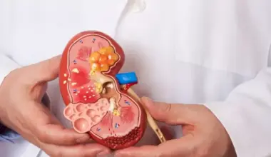 New Drug Stops Progression of Kidney Cancer