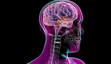 Oral small-molecule GLP-1 drugs penetrate deep into the brain to suppress cravings