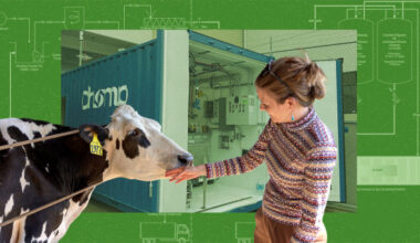 From the Living Lab: Small biodigester to fuel research, extension