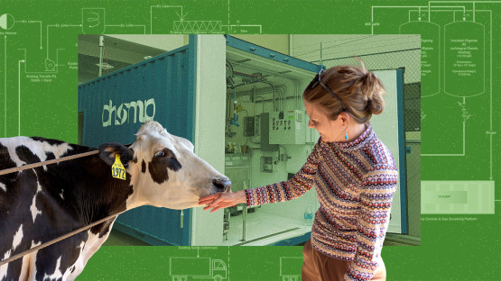 From the Living Lab: Small biodigester to fuel research, extension