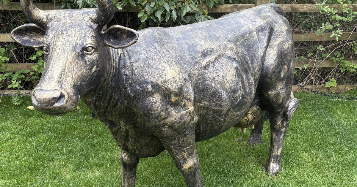 Westhoughton's new statues celebrating the legend of ‘cow yeds’