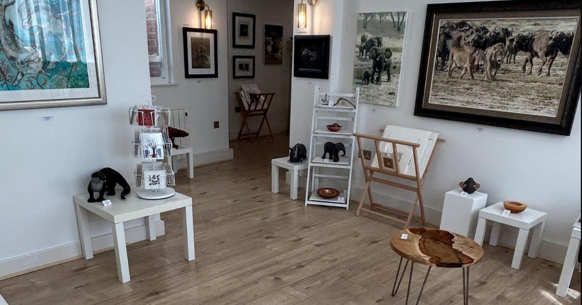 The Julian Jardine Gallery & Workshop opens in Colliergate